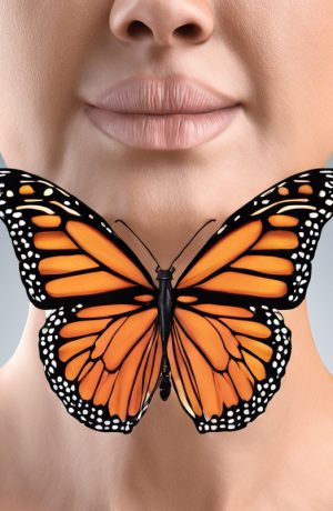 f20faa_cd9f235032d34eb381db3ee37ddba190~mv2