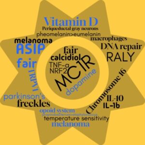 Group logo of The Redheads