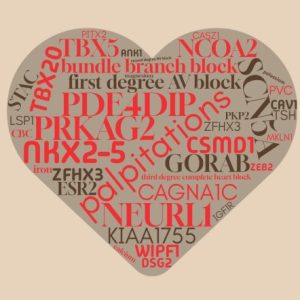 Group logo of Heart-Electrical System Atrial Fibrillation/Atrial Flutter