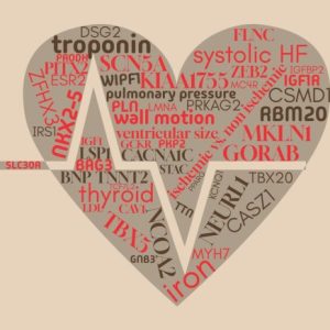 Group logo of Heart Ejection Fraction